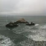 seal_rocks