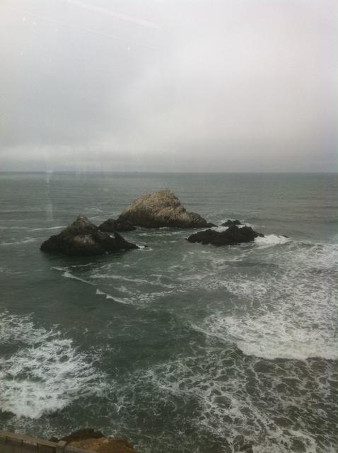 seal_rocks