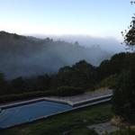 pool_fog