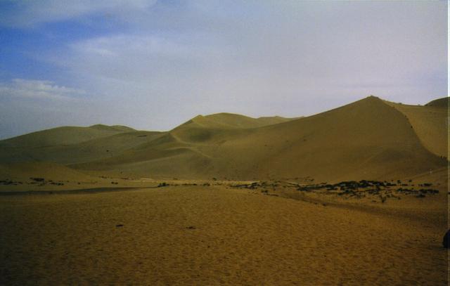 desert_view.jpg