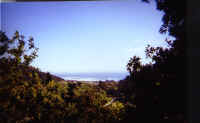 cali_coast_walk.jpg (73930 bytes)