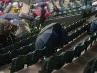 brollies.jpg (137206 bytes)