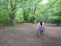 kt_epping_forest.jpg (337289 bytes)