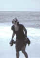 dana_sea_big3.jpg (26414 bytes)