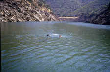 me_kt_swimming.jpg (137795 bytes)