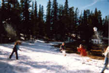snowfight.jpg (302796 bytes)