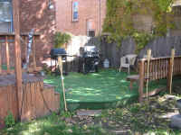 pearl_st_deck_turf.jpg (227251 bytes)